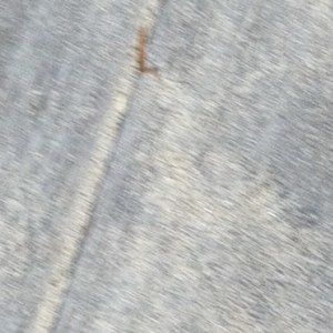 Meet your Posher, Barrett